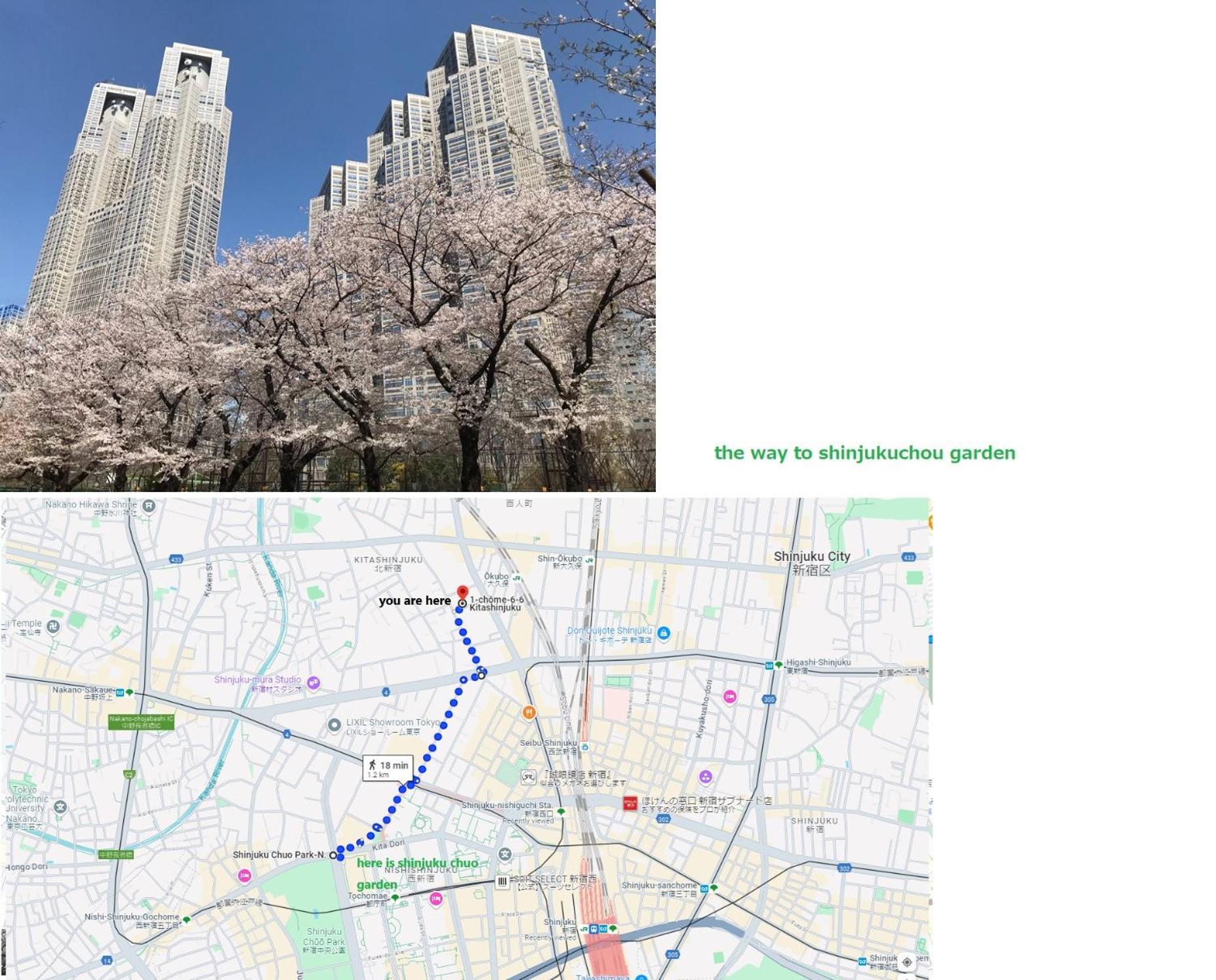 大久保駅から４分、貸切、韓国ダウン至近、新宿/歌舞伎町に徒歩圏内 、단독사용민박 Tokyo Bagian luar foto